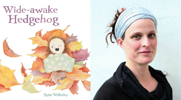 Wide Awake Hedgehog collage