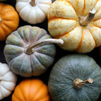pumpkin