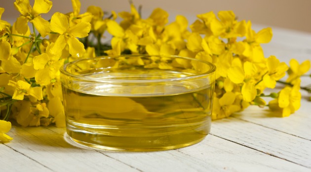 Rapeseed oil