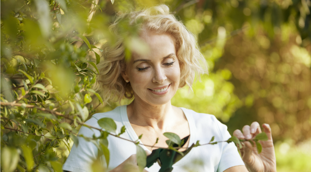 pruning plants