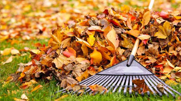 autumn gardening