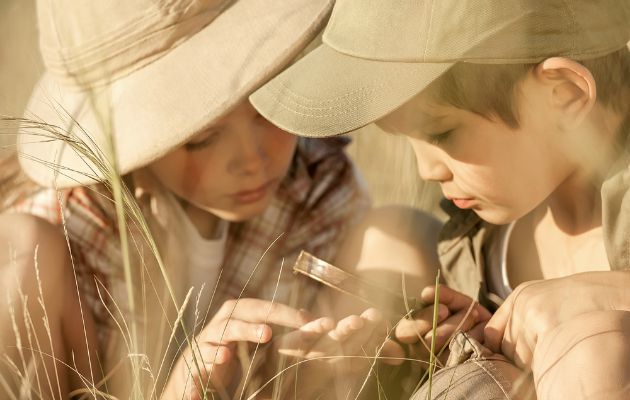bug hunting with grandchildren