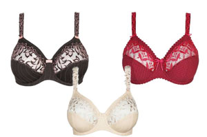 bras content