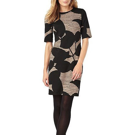 Phase Eight Fryda Dress