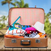 suitcase