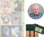 colin bradley school of art competition