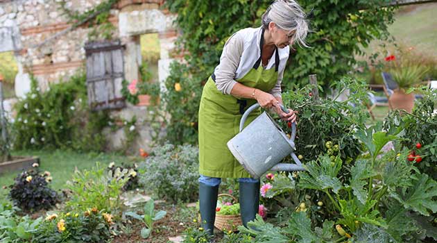 gardening mental health
