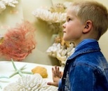 Child at museum