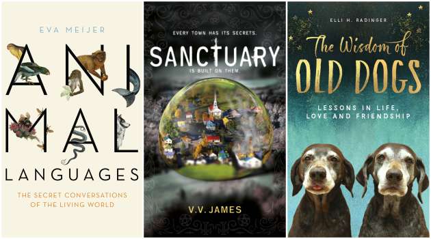 best xmas reads
