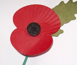Poppy