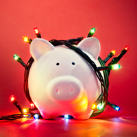piggy bank lights