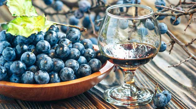 sloe gin