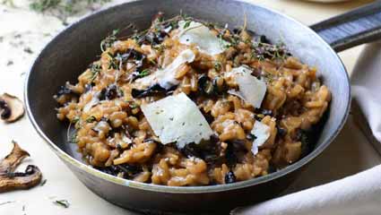 vegetarian recipes