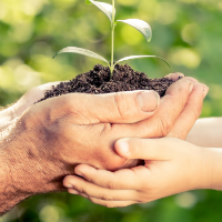 hands gardening