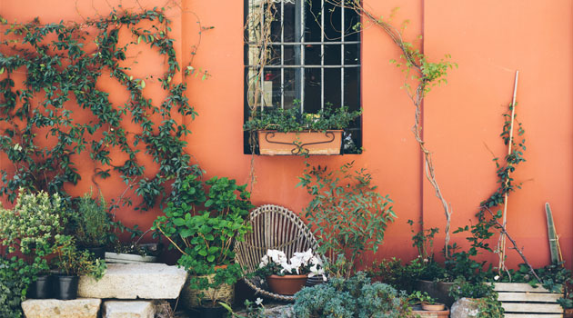 garden design