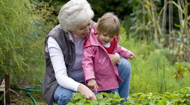 allotments and grandchildren