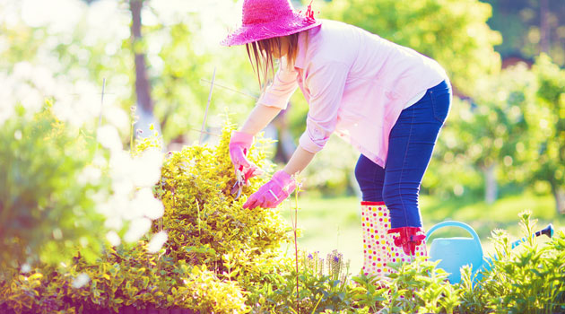 pruning
