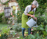 senior woman gardening