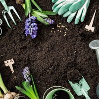 soil