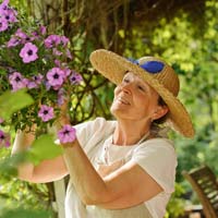 small garden ideas