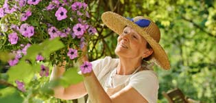 small garden ideas