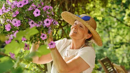 small garden ideas