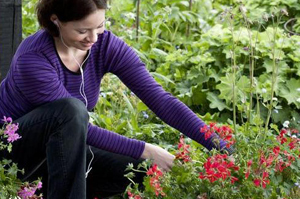 Deadheading
