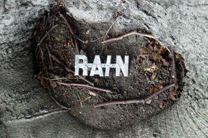 rain