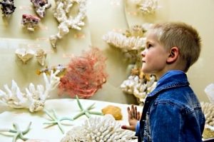 boy in museum
