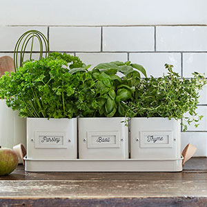 herb planter