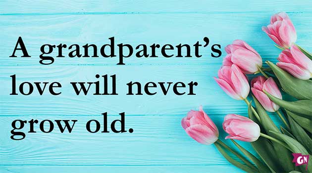 grandparent memes