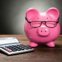 pig and calculator