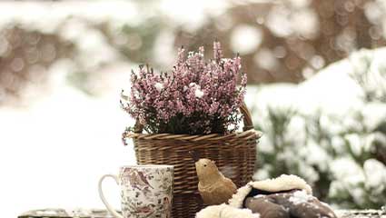 small garden ideas