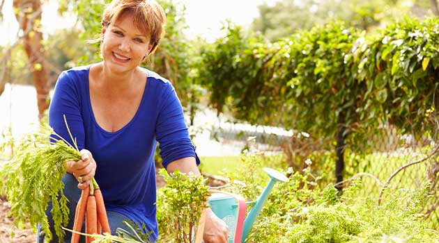 woman picking carrots