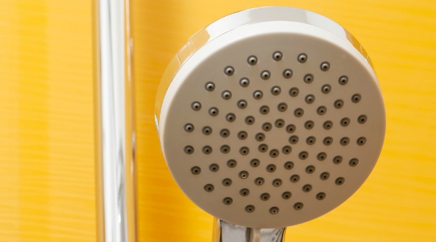 shower head