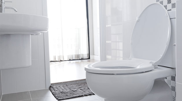 toilet gift