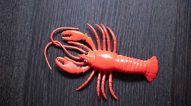 toy lobster