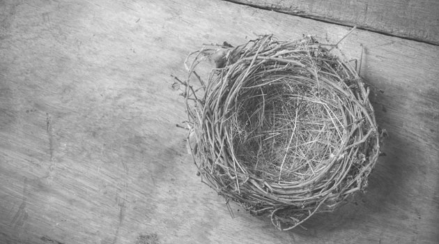 empty nest syndrome