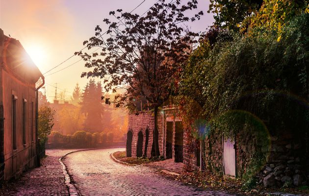cobbled lane