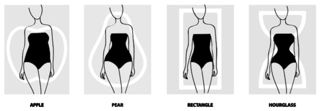 four different body types
