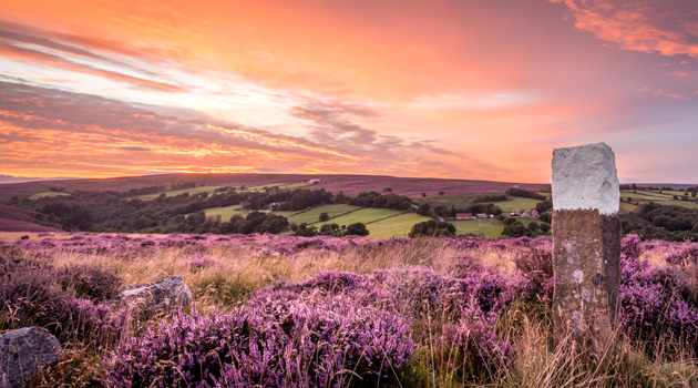 Yorkshire moors
