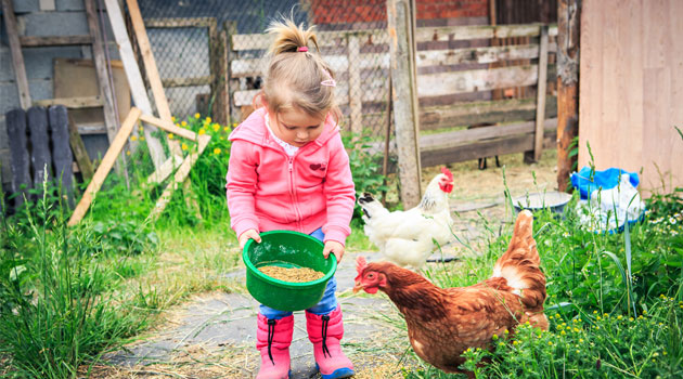 farm holiday