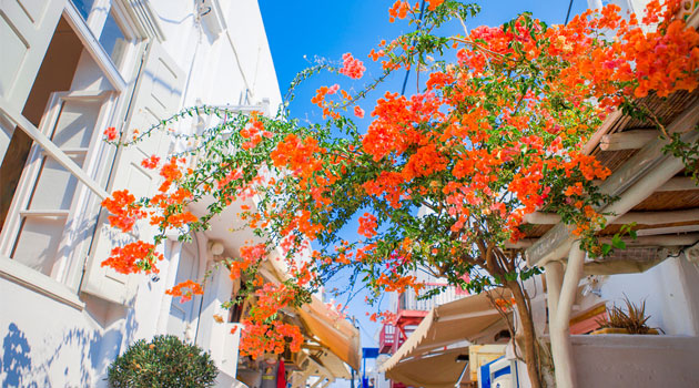 holiday lets abroad