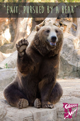 bear