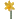 daffodil
