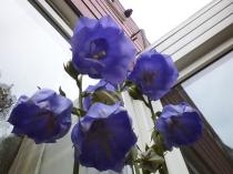 User post image