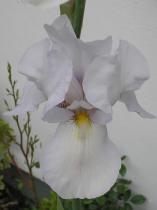 User post image