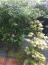 User post image