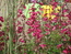 User post image