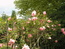 User post image